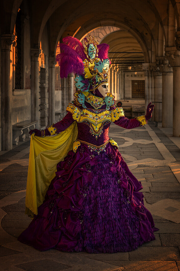 Costume and mask during Venice Carnival, Venice, UNESCO World Heritage Site, Veneto, Italy, Europe
