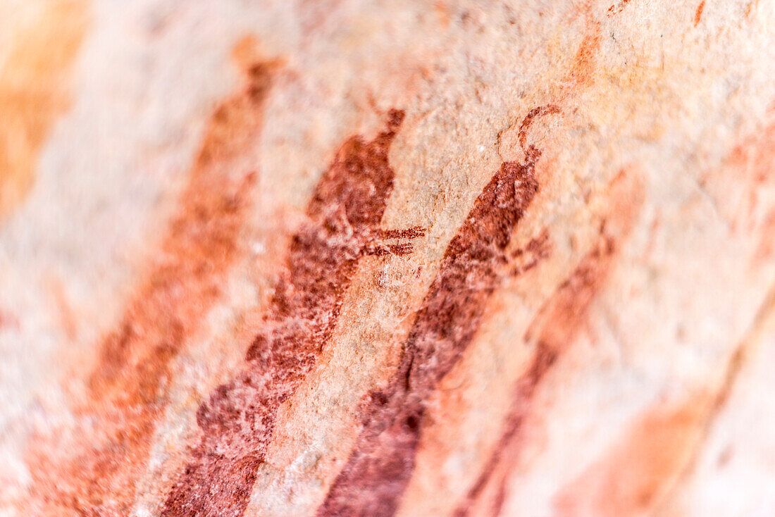 San Felsenkunst Höhlenmalereien an der Wand eines felsigen Überhangs im Cederberg, Westkap, Südafrika, Afrika