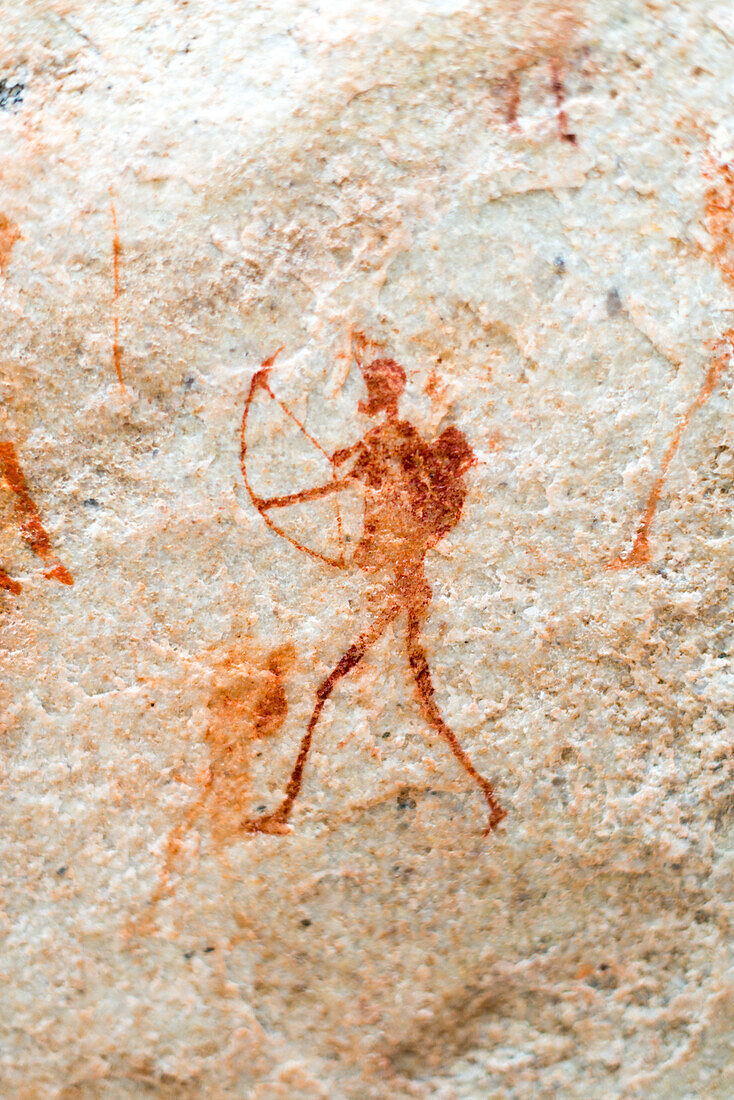 San rock art cave paintings on the wall of a rocky overhang in the Cederberg, Western Cape, South Africa, Africa
