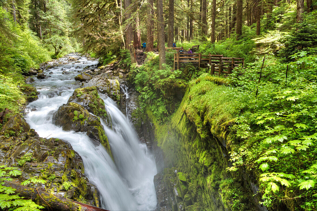 Sol Duc Falls, Olympic National Park, UNESCO World Heritage Site, Washington, United States of America, North America