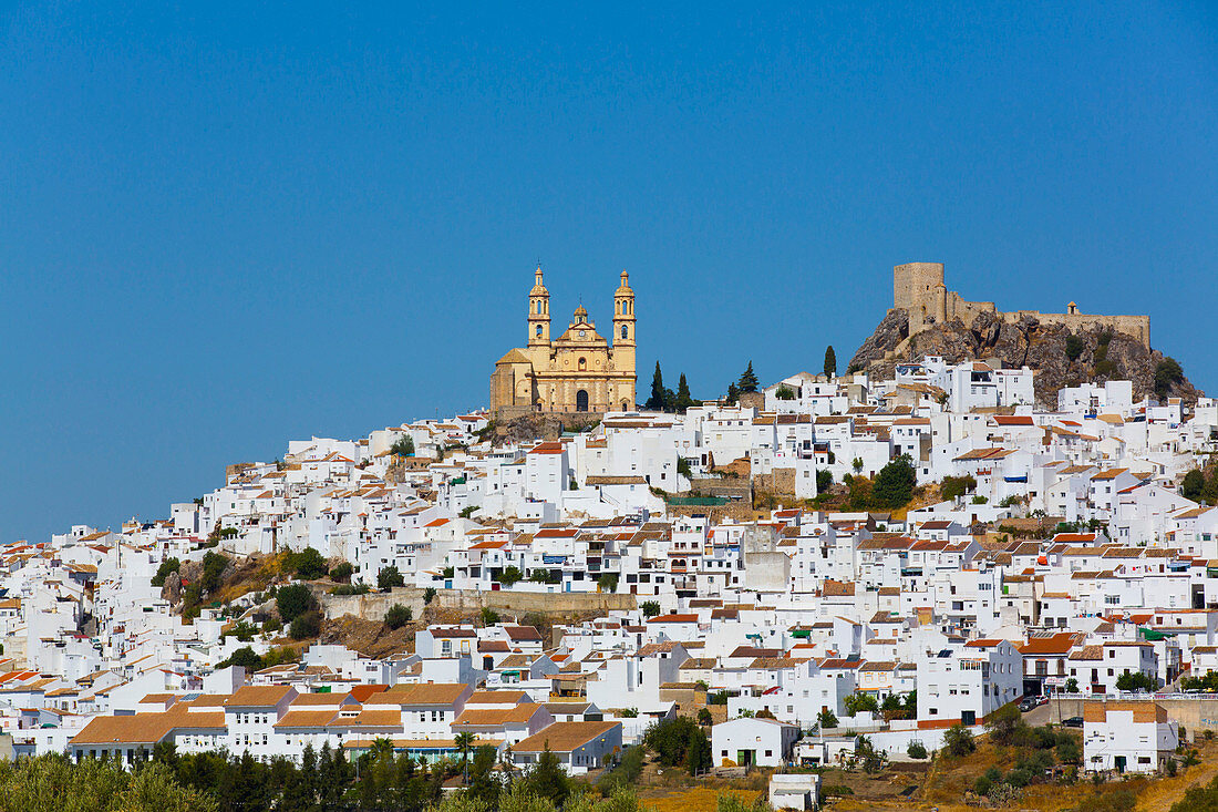 Nuestra Senora de la Encarnacion Church on the left and Arab Castle on the right, Olvera, Andalucia, Spain, Europe
