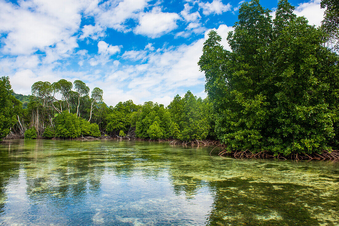 Kristallklares Wasser in der Utauer Lagune, UNESCO Biosphärenreservat, Kosrae, Föderierte Staaten von Mikronesien, Südpazifik