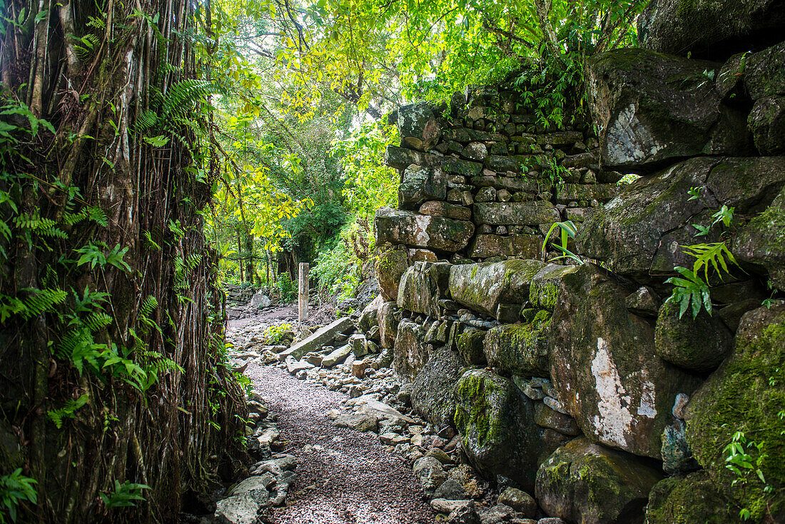 Lelu (Leluh) archäologische Stätte, Kosrae, Föderierte Staaten von Mikronesien, Südpazifik