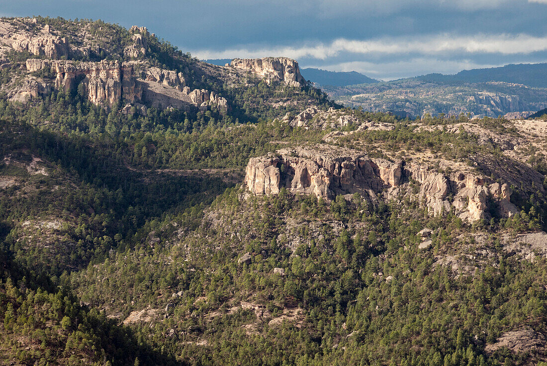 Vulkan-Plateau von Sierra Tarahumara, oberhalb des Kupfer-Canyons, Chihuahua, Mexiko, Nordamerika