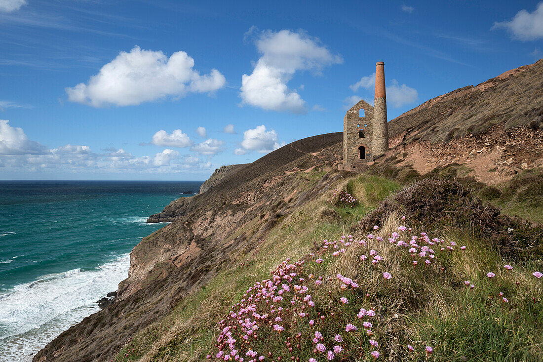 Wheal Coates Engine House, UNESCO Weltkulturerbe und Küstenlinie mit Sparsamkeit Blumen, St. Agnes, Cornwall, England, Großbritannien, Europa