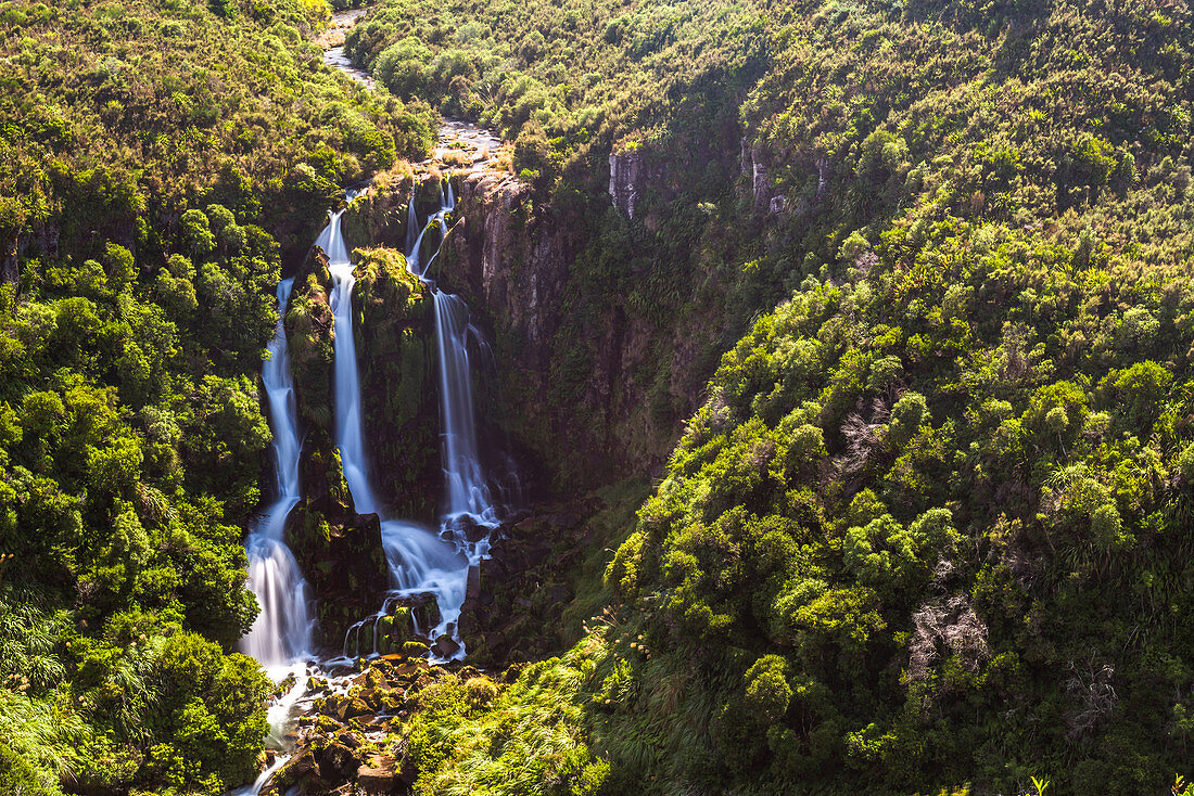 Waipunga Falls, a waterfall of the Waipunga River near Taupo, Waikato Region, North Island, New Zealand, Pacific