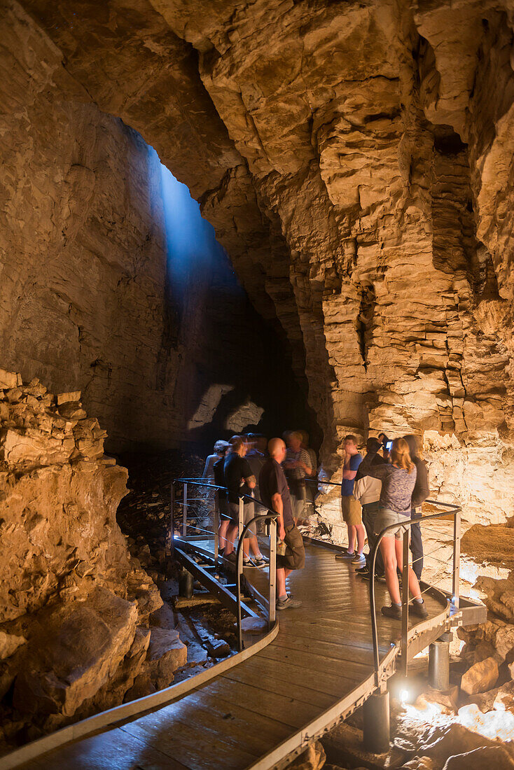 Tourists exploring Waitomo Caves, Waikato Region, North Island, New Zealand, Pacific