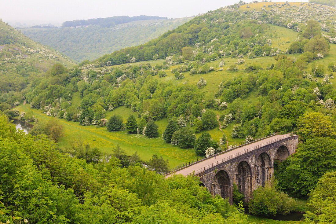 Monsal Trail viaduct, Monsal Head, Monsal Dale, former rail line, trees in full leaf in summer, Peak District, Derbyshire, England, United Kingdom, Europe