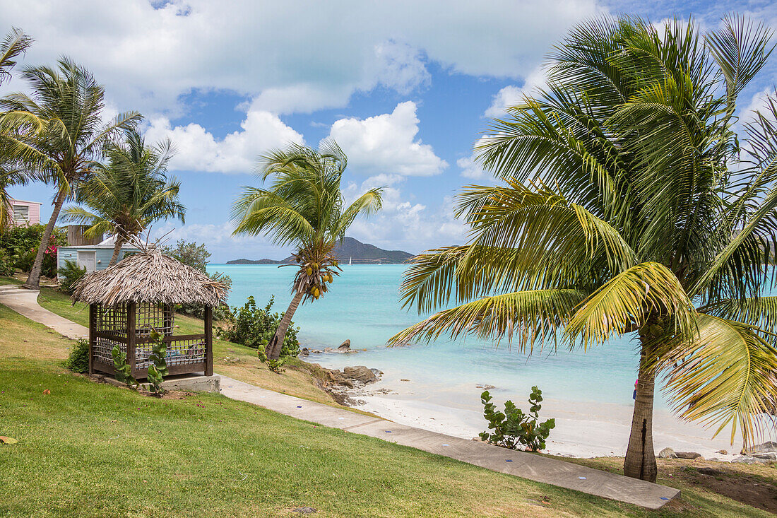 Palm trees and gardens surrounded by Caribbean Sea, Ffryes Beach, Sheer Rocks, Antigua, Antigua and Barbuda, Leeward Islands, West Indies, Caribbean, Central America