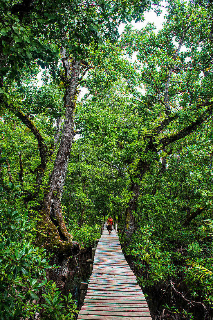 Long pier over a swamp, Kosrae, Federated States of Micronesia, South Pacific