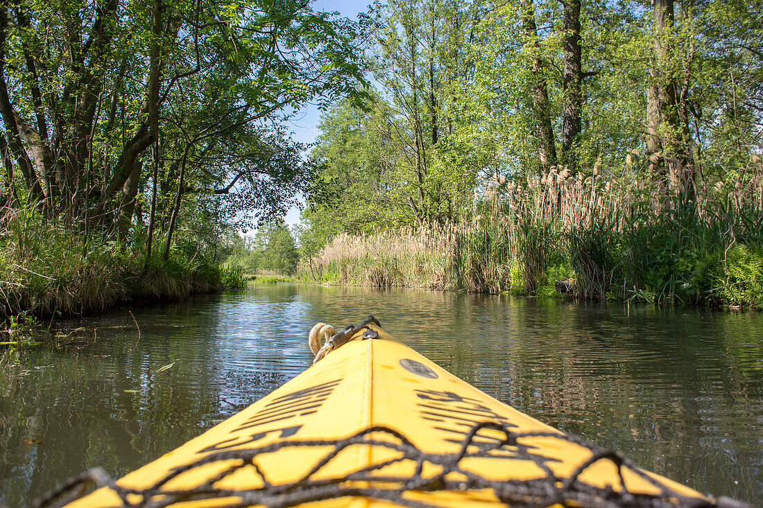 Kajaktour im Sommer entlang der Spree, Spreewald, Biosphärenreservat, Kulturlandschaft, Spree, Seitenarm, Brandenburg, Deutschland