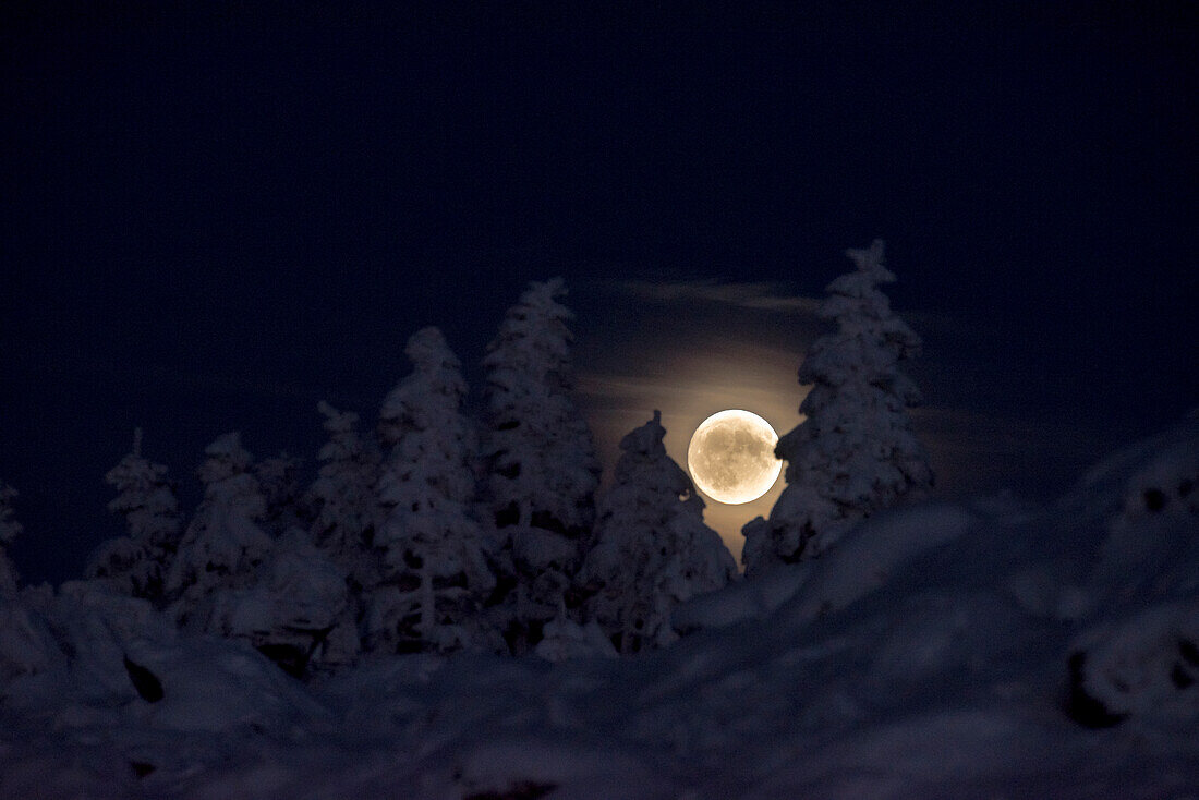 Winter Moon, Super Moon, Schierke, Brocken, Harz national park, Saxony, Germany