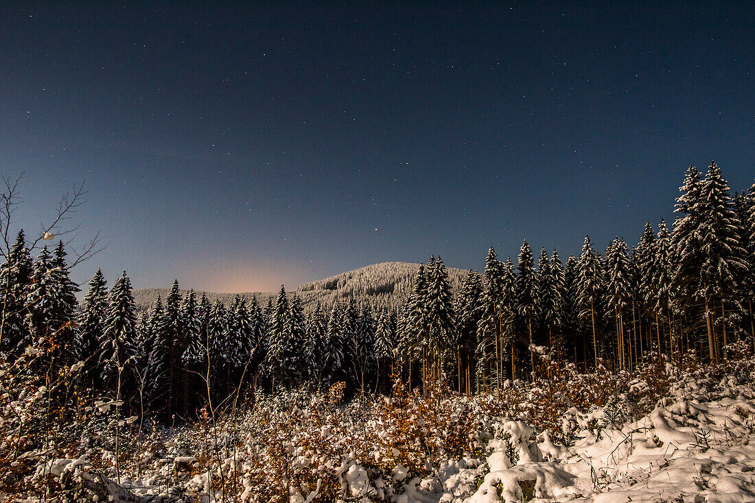 Winterwald und tiefliegende Wintersonne, Abendstimmung, Brocken, Nationalpark Harz, Sternenhimmel,  Mittelgebirge, Sachsen-Anhalt, Deutschland