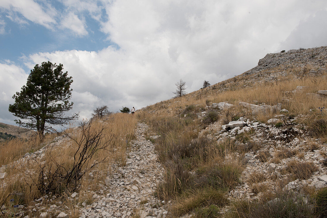 Wanderweg in den Bergen, Steinlandschaft, trockene Graslandschaft, Alpes-Maritimes, Provence-Alpes-Côte d’Azur, Frankreich