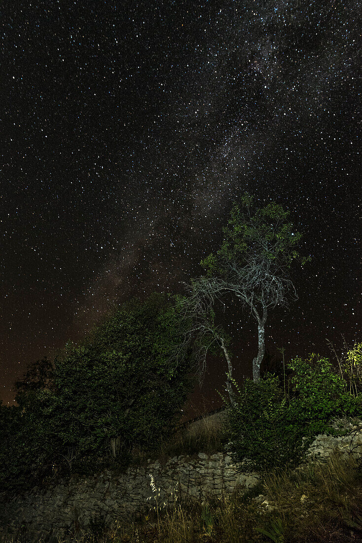 Camping, looking up to a starry sky, Milky Way, Verdon Gorge, Route des Cretes, Vosges, Provence-Alpes-Cote d'Azur, France