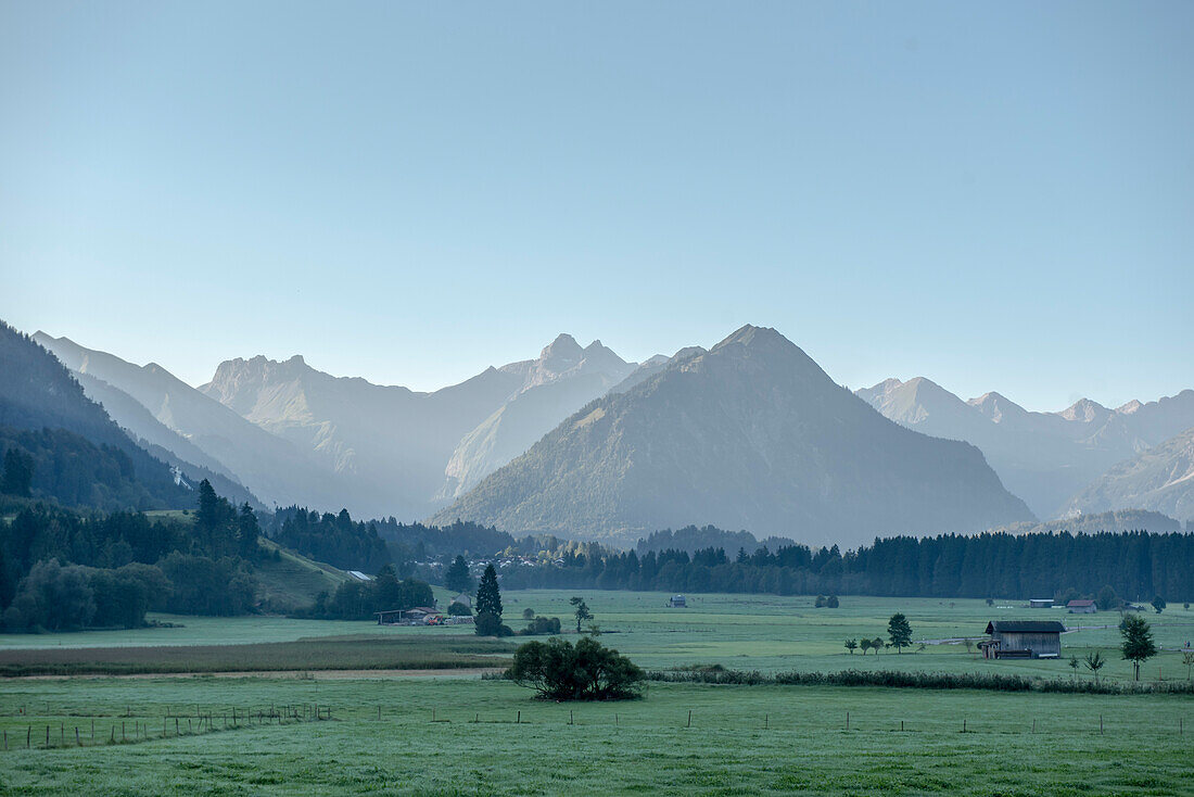 Bergpanorama bei Sonenaufgang in Herbst, Frost, Kuhweide, Oberstdorf, Rubihorn, Oberallgäu, Oberstdorf, Alpen, Deutschland