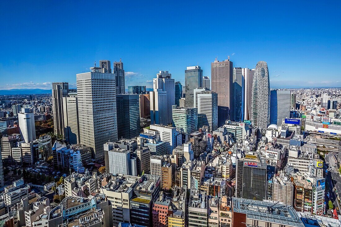 Japan, Tokyo City, Shinjuku District, Shinjuku Westside skyline.