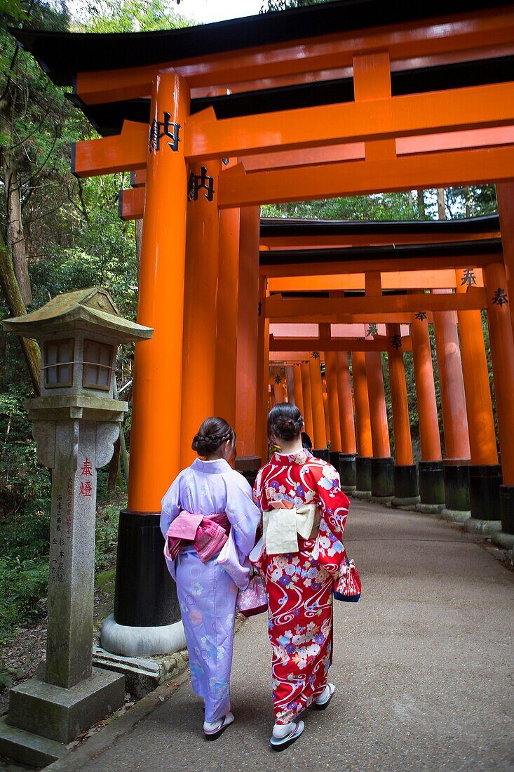 Japan, Kyoto City, Fushimi Inari Schrein, Tori Gates.