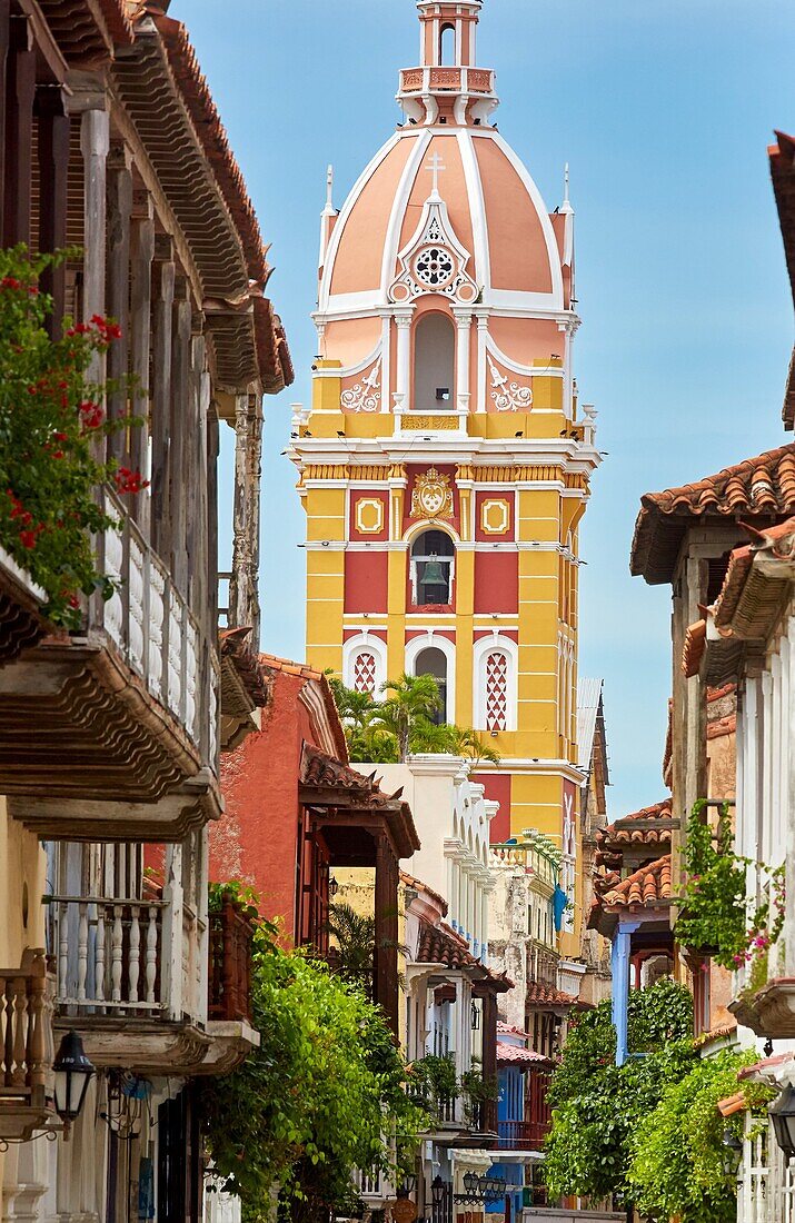 Cathedral Basilica of Saint Catherine of Alexandria, Cartagena de Indias, Bolivar, Colombia, South America