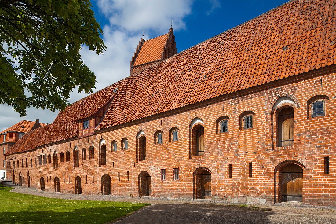 Denmark, Zealand, Naestved, Naestved Museum-Boderne buildings and Sankt Peders Kirke Church.