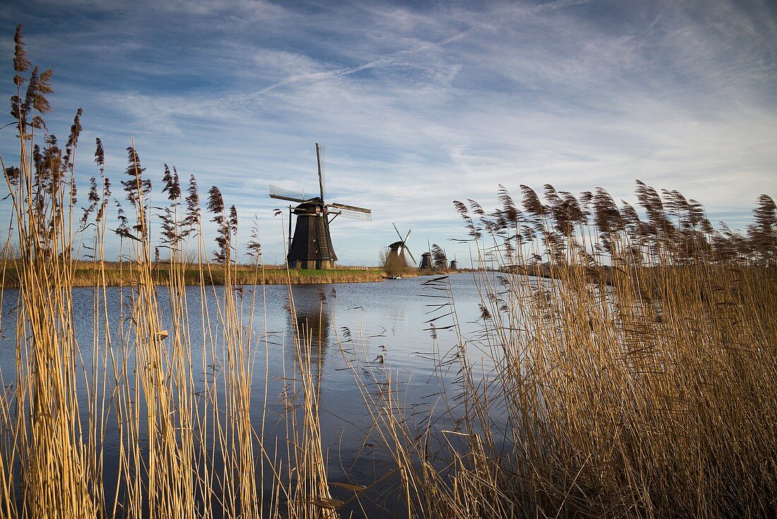 Netherlands, Kinderdijk, Traditional Dutch windmills.