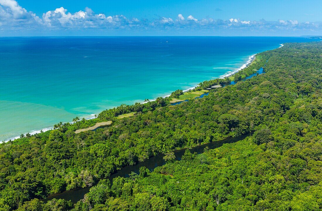 Estacion Sirena, Corcovado National Park, Osa Peninsula, Puntarenas Province, Costa Rica, Central America, America.