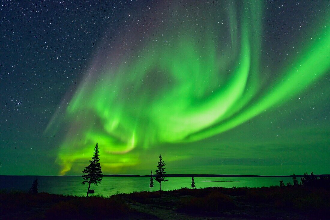Aurora borealis (Northern lights) over Ennadai Lake, Arctic Haven Lodge, Ennadai Lake, Nunavut, Canada.