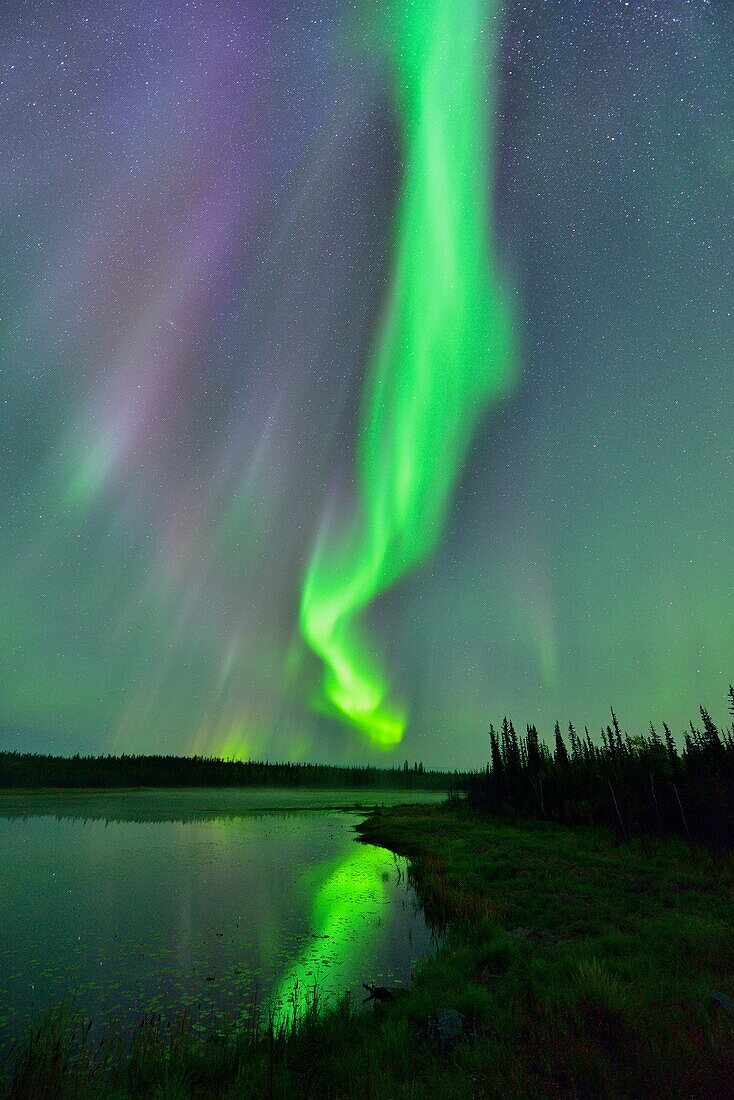 Aurora borealis (Northern Lights) over a beaver pond, Yellowknife, Northwest Territories, Canada.