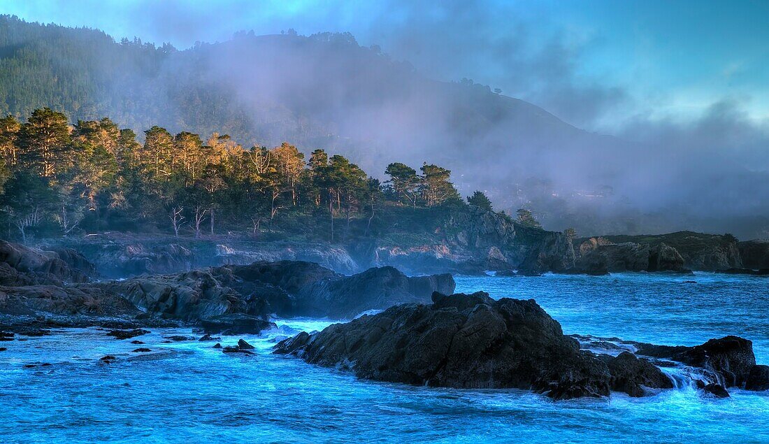 The rocky coastline at Point Lobos State Natural Reserve in Carmel, California.