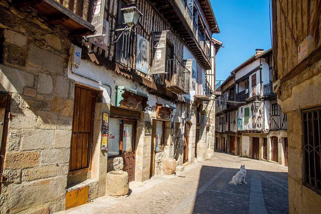 Straße. Mogarraz, Naturpark Sierra de Francia, Provinz Salamanca, Kastilien-León, Spanien.