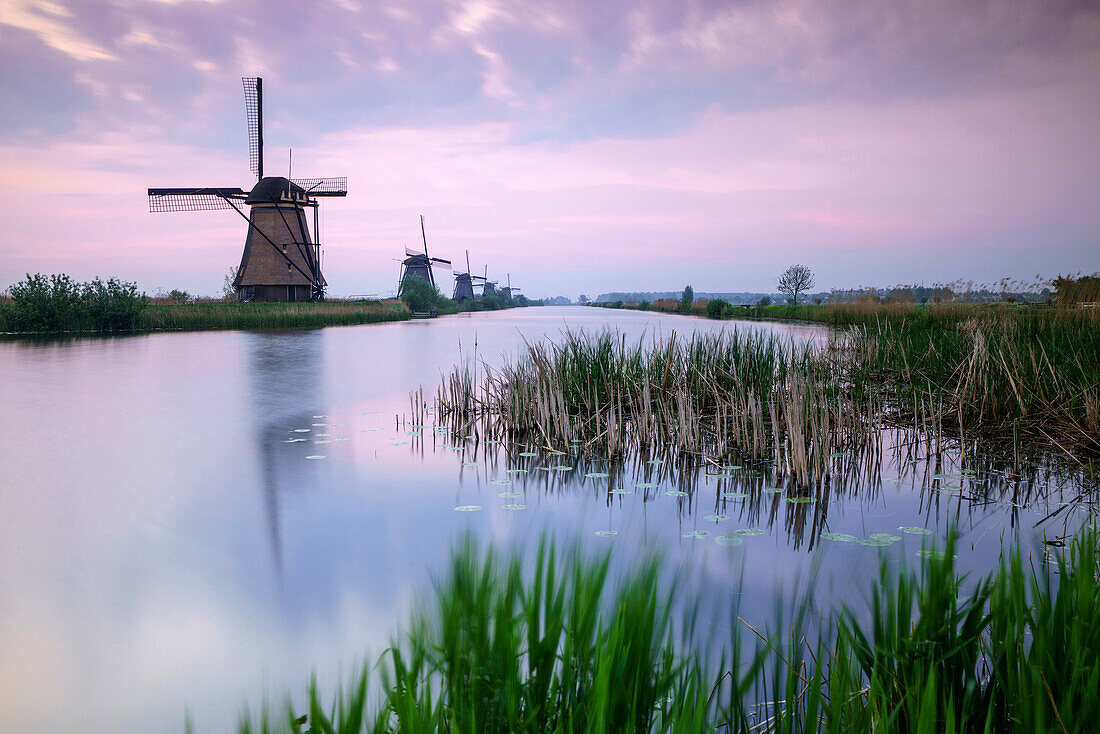 Sky is tinged with purple at dawn on the windmills reflected in the canal Kinderdijk Rotterdam South Holland Netherland Europe.