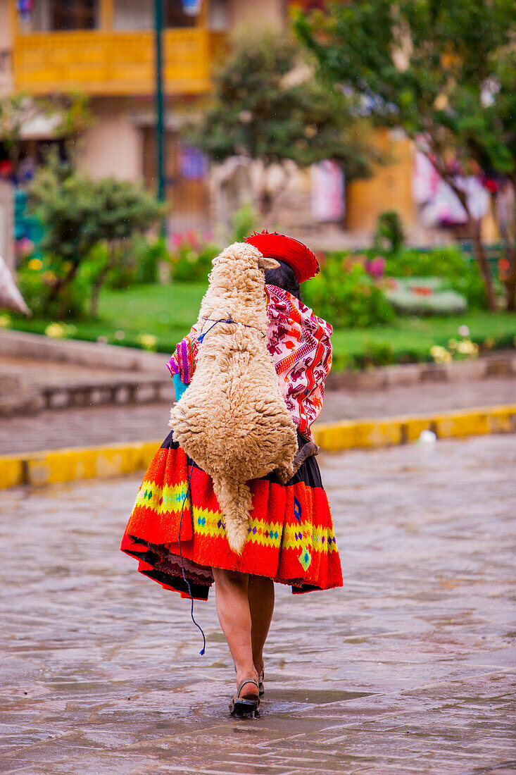 Woman carrying her sheep, Ollantaytambo, Peru, South America