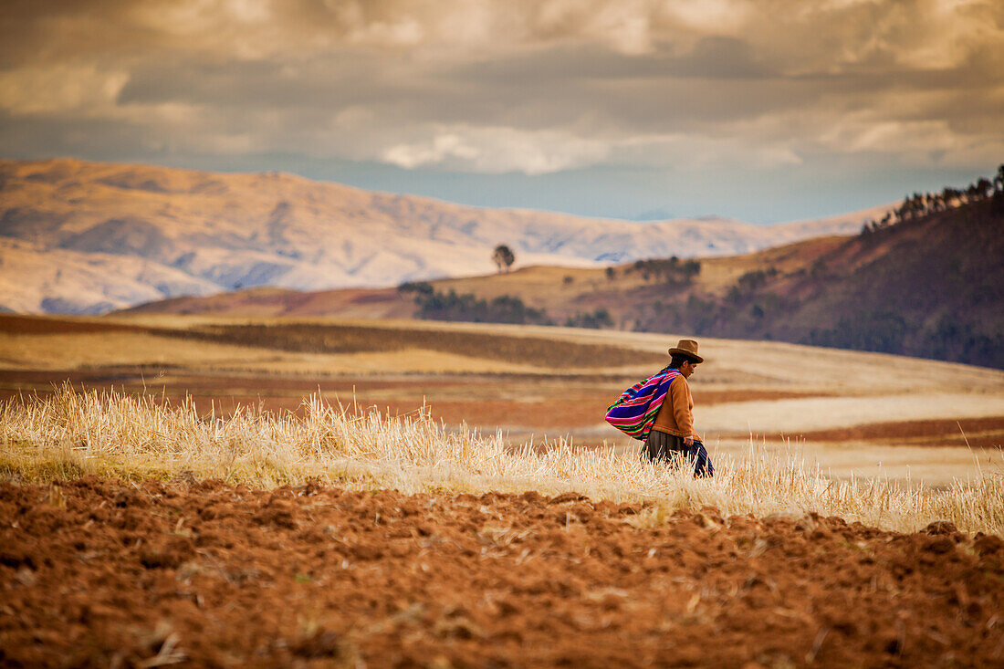 Farmer walking home at sunset, Sacred Valley, Peru, South America