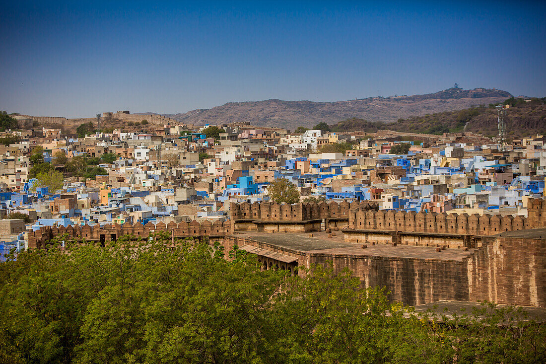 Die Stadtmauer von Mehrangarh Fort überragt die blauen Dächer in Jodhpur, die Blaue Stadt, Rajasthan, Indien, Asien