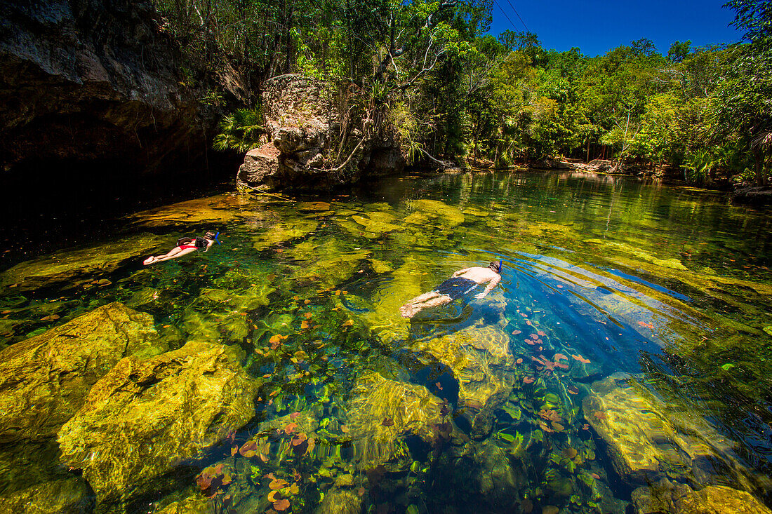 Couple snorkels in the cenotes of Chiken-ha, Tulum, Mexico, North America