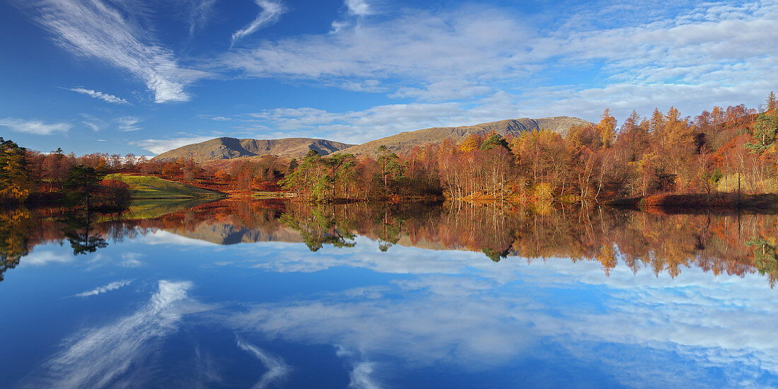 Herbstfarbe spiegelt sich in den ruhigen Gewässern von Tarn Hows im Lake District Nationalpark, Cumbria, England, Großbritannien, Europa