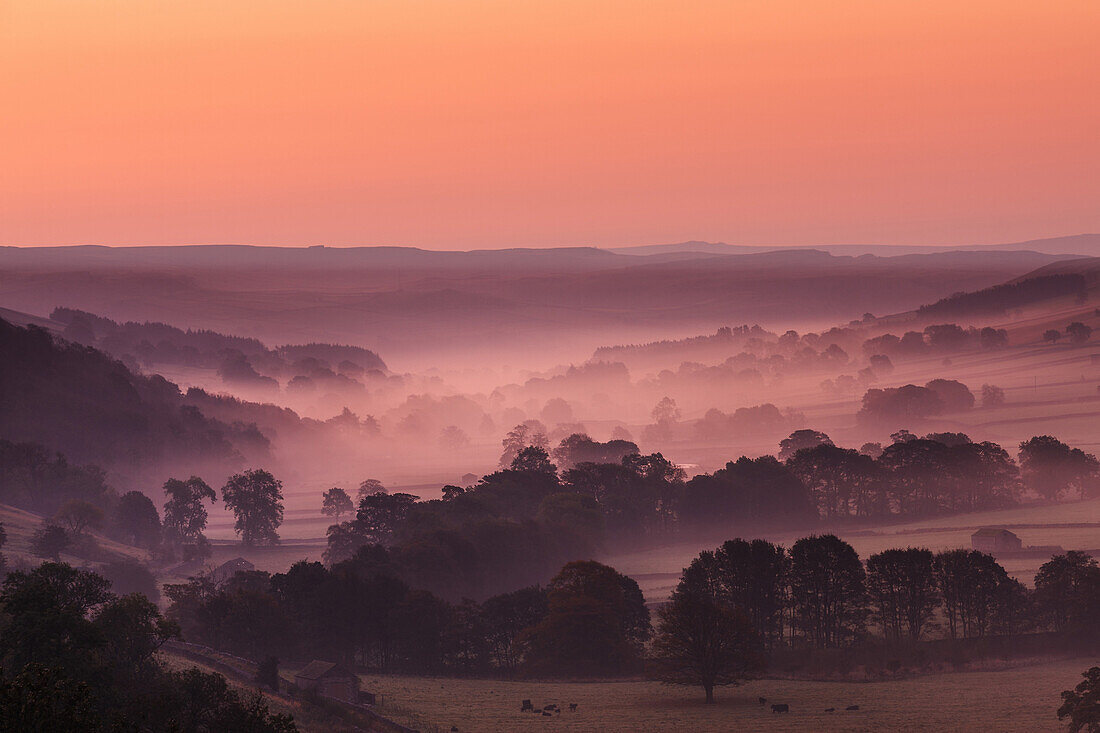 The Littondale valley in the Yorkshire Dales with mist lingering among the trees in the pre dawn light of an autumn morning, Yorkshire, England, United Kingdom, Europe