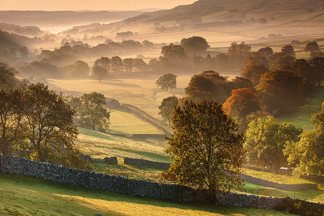The Littondale Valley lit by the early morning light on a misty autumn morning in the Yorkshire Dales, Yorkshire, England, United Kingdom, Europe