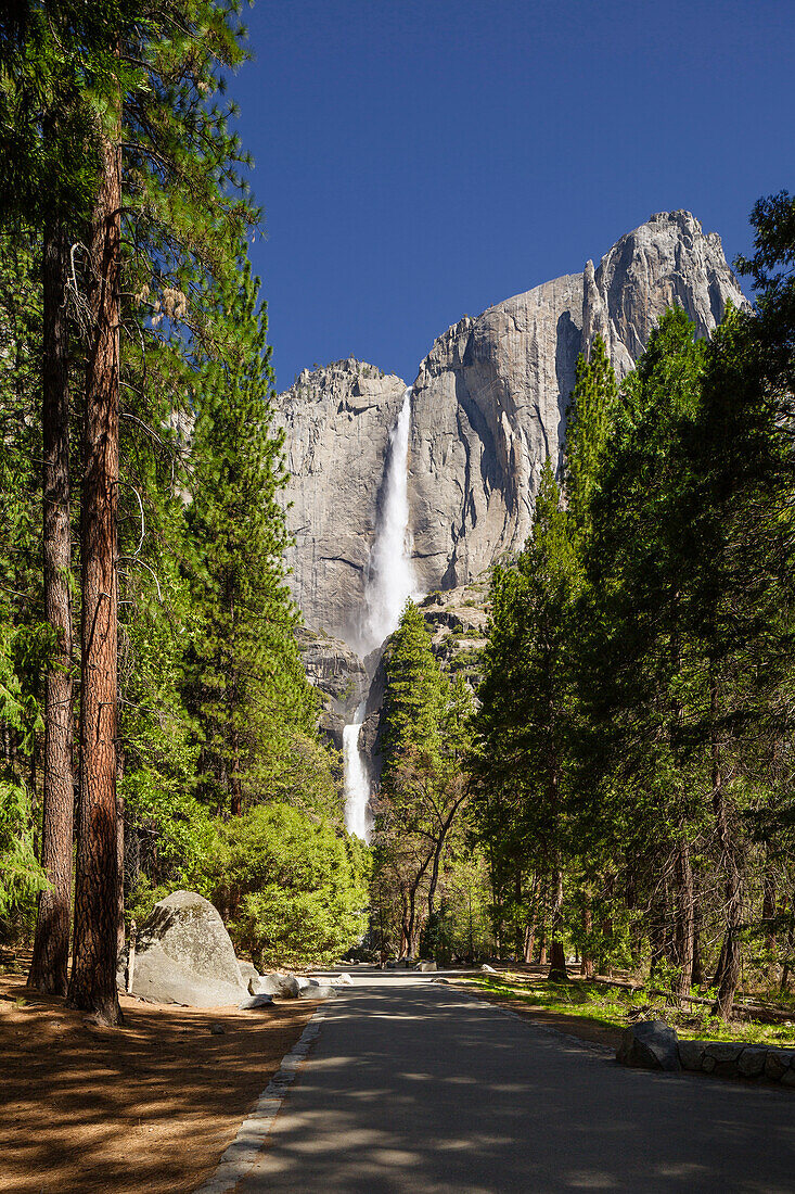 Yosemite Falls in full flow during spring in Yosemite National Park, UNESCO World Heritage Site, California, United States of America, North America