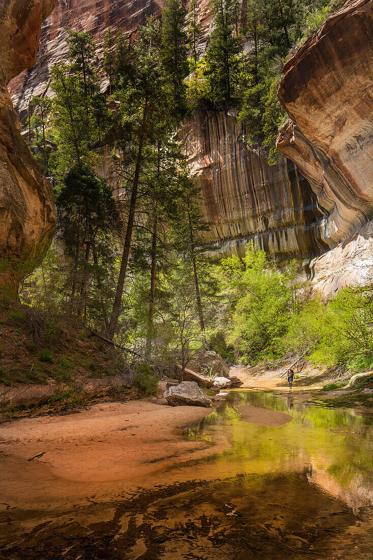 Hiking to the Subway at Zion National Park, Utah, United States of America, North America