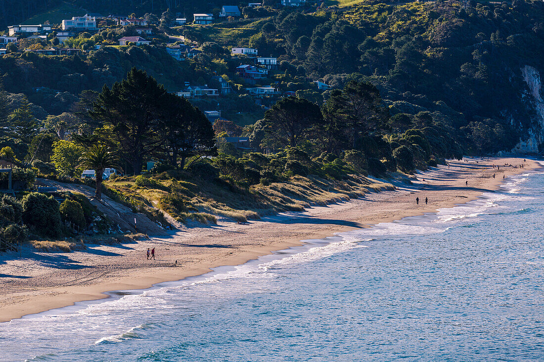 Hahei Strand auf der östlichen Seite der Coromandel Halbinsel gebadet am späten Nachmittag Licht, Waikato, Nordinsel, Neuseeland, Pazifik