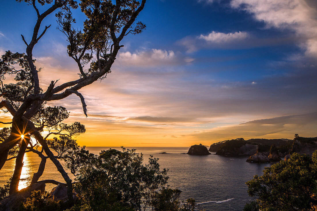 Sonnenaufgang entlang der schroffen, üppigen Coromandel-Halbinsel auf der östlichen Seite der Nordinsel, Waikato, Neuseeland, Pazifik