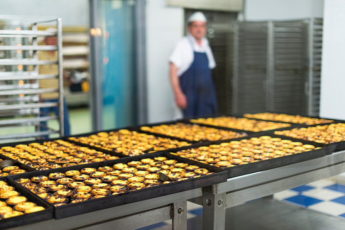 Trays of freshly baked Pasteis de Nata (custard tarts) at Pasteis de Belem in Lisbon, Portugal, Europe