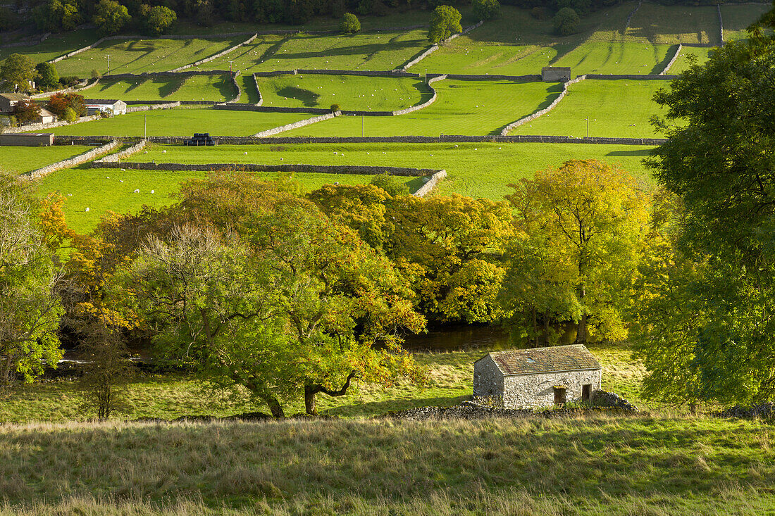 Kettlewell Dorf Feld Sysyem, aus Scheunen und trockenen Steinmauern, in Wharfedale, The Yorkshire Dales, Yorkshire, England, Großbritannien, Europa