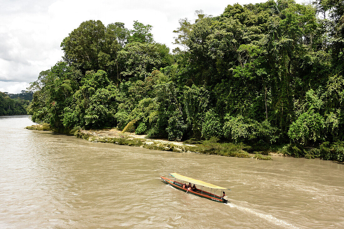Misahualli in der Oriente, Leiter der Navigation auf Rio Napo (Amazonas), Ecuador, Südamerika