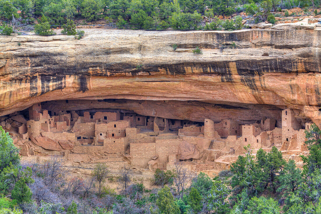 Anasazi Ruins, Cliff Palace, dating from between 600 AD and 1300 AD, Mesa Verde National Park, UNESCO World Heritage Site, Colorado, United States of America, North America