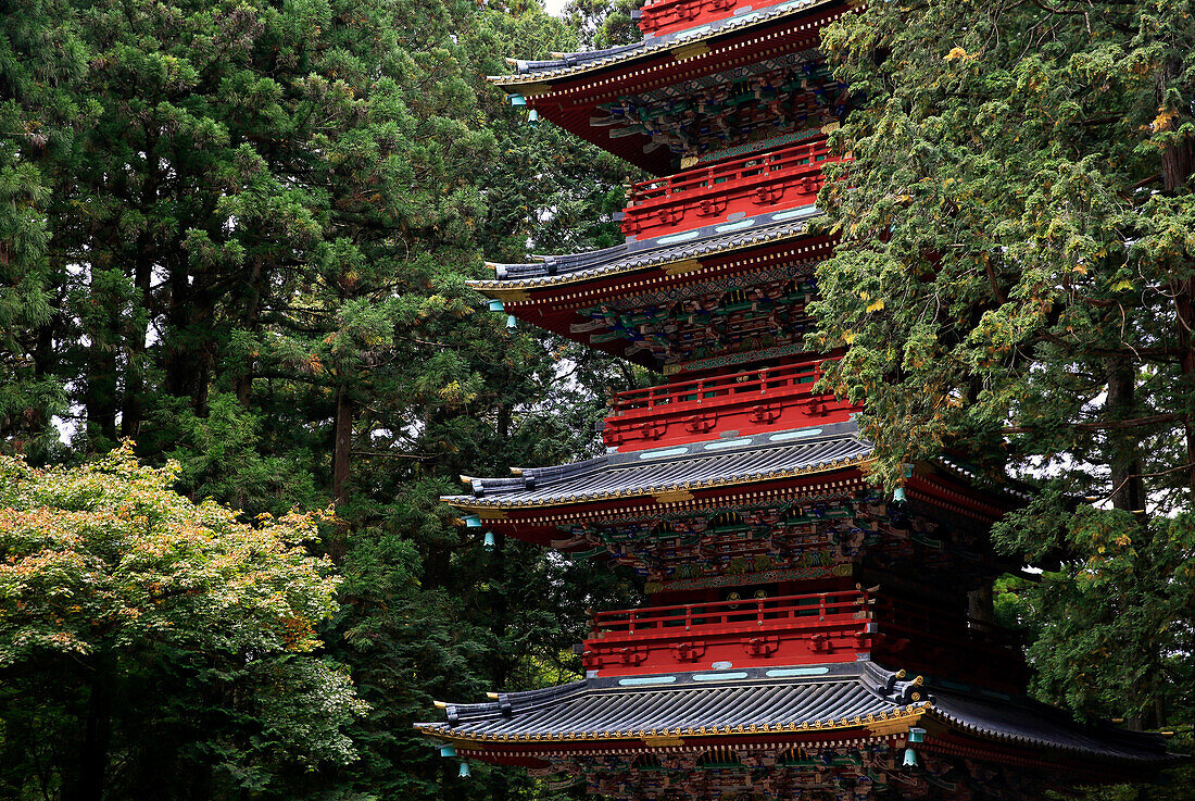Pagode außerhalb des Tokugawa-Mausoleums, Nikko, UNESCO-Weltkulturerbe, Honshu, Japan, Asien