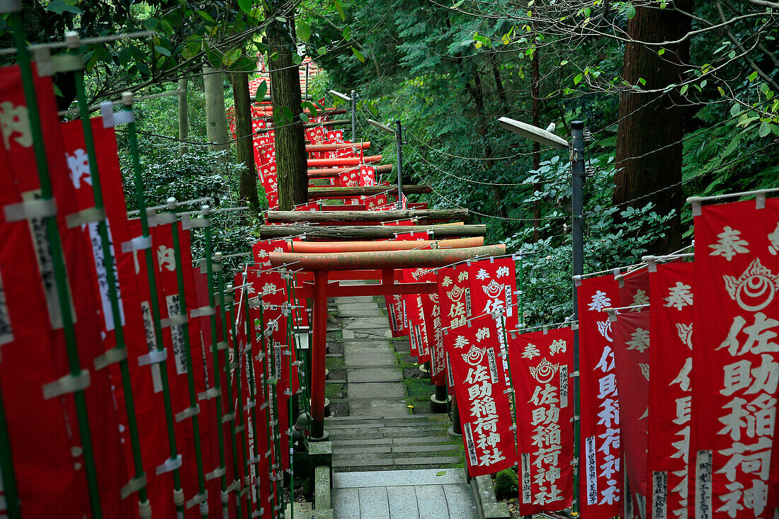 Gasse in den Kamakura Hügeln, Honshu, Japan, Asien