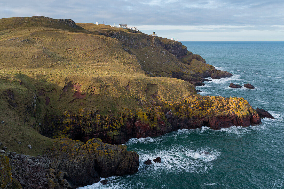 Die Küstenlinie bei St. Abb. Head Nature Reserve, Berwickshire, Schottland, Großbritannien, Europa