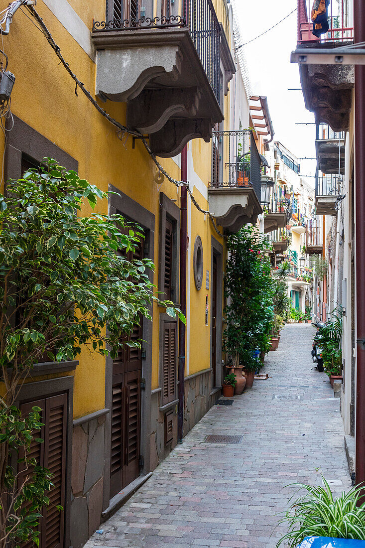 Begrünte Gasse in Lipari Stadt, Insel Lipari, Liparische Inseln, Äolische Inseln, Tyrrhenisches Meer, Mittelmeer, Italien, Europa